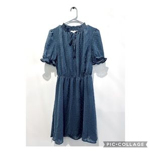 Slate Blue Polka Dot Dress